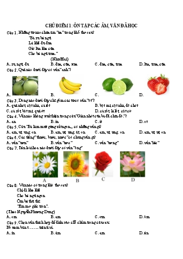 Bộ đề thi Trạng Nguyên Tiếng Việt Lớp 1 ôn luyện các cấp năm học 2025-2026 (Có đáp án)